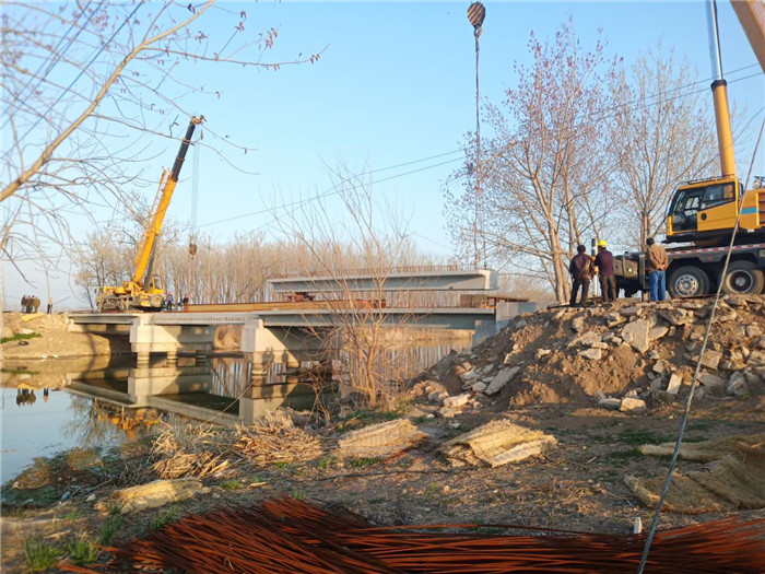 東辛農(nóng)場中干河橋